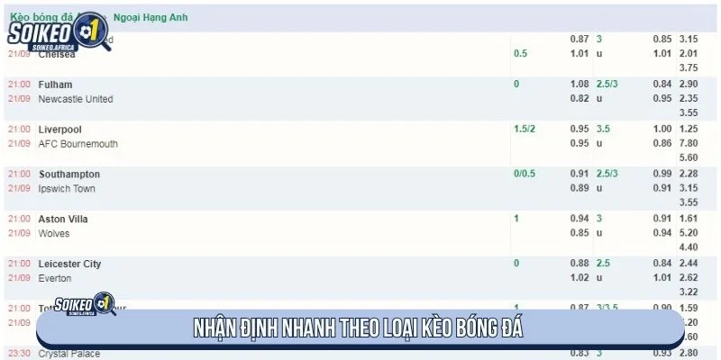 Đọc handicap odds và tài xỉu trong ngày