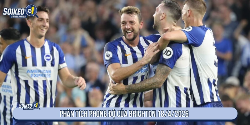 Soi Kèo Bóng Đá Tottenham Vs Brighton 23:30 18/4/2026 Phong độ Brighton trước trận Tottenham ngày 18/4/2026