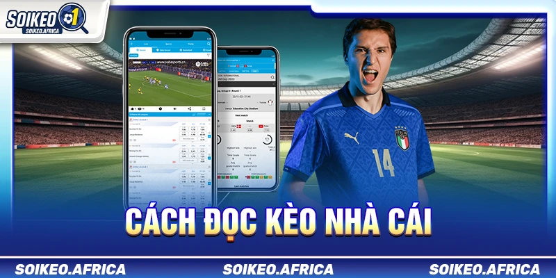 Cách Đọc Kèo Nhà Cái: Châu Á, 1X2 & Tài Xỉu Dễ Hiểu Cách đọc kèo nhà cái