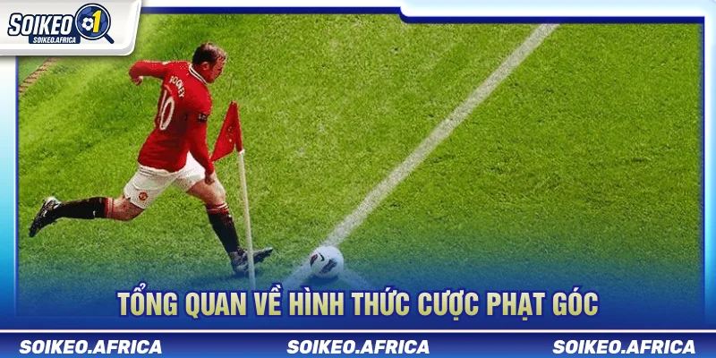 Cách Soi Kèo Phạt Góc: Quy Trình Phân Tích Corner Tổng quan dữ liệu phạt góc trước trận