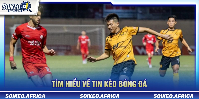 Tin Kèo Bóng Đá: Phong Độ, Đội Hình & Biến Động Tỷ Lệ Phân tích bối cảnh khi đọc tin kèo bóng đá