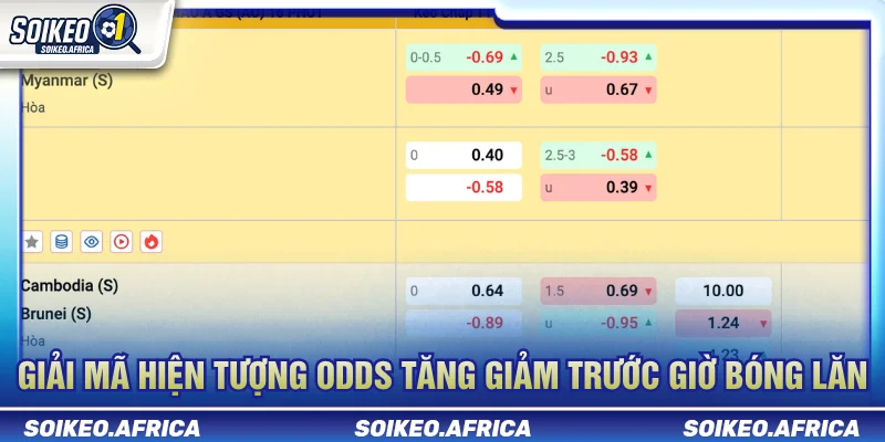 Odds kèo bóng đá là gì khi odds tăng và giảm